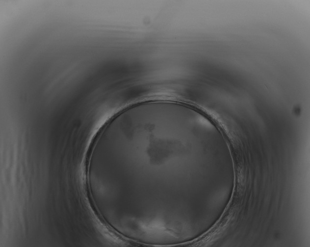 X0000097991466200804011757