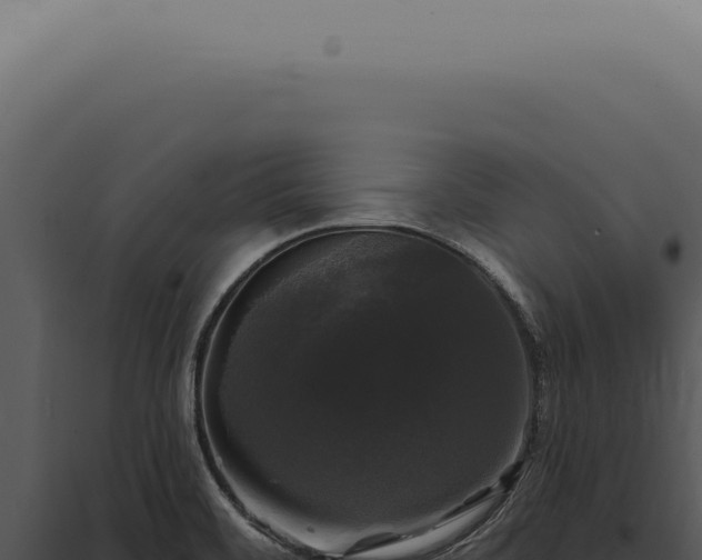 X0000097991468200804011757