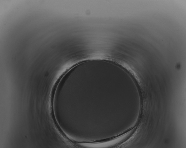X0000097991469200804011757