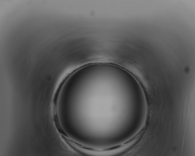 X0000097991472200804011756