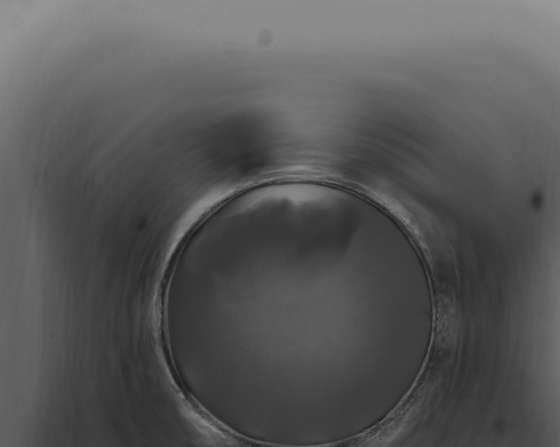 X0000097991474200804011756
