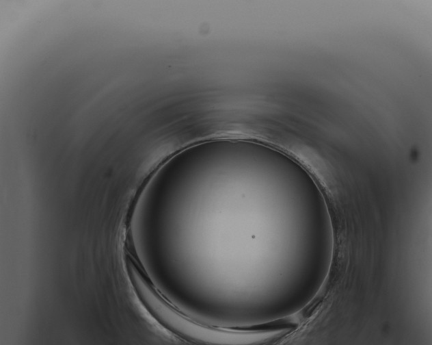 X0000097991476200804011756
