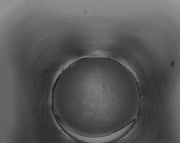 X0000097991477200804011756