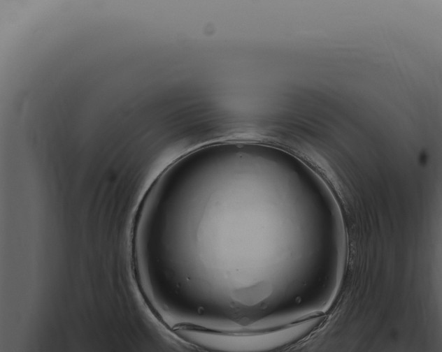 X0000097991483200804011756