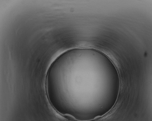 X0000097991486200804011756