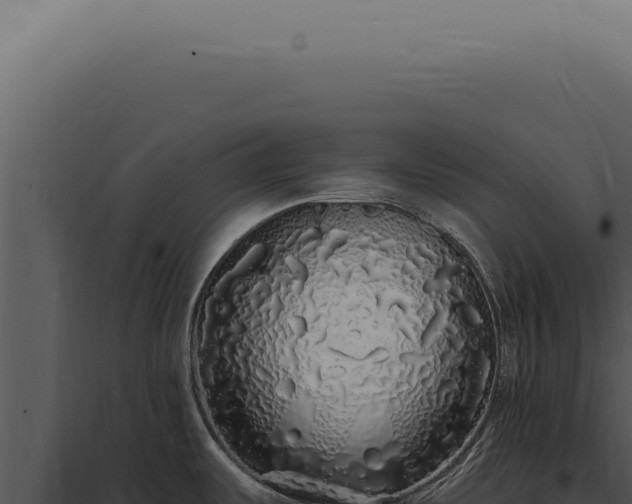 X0000097991487200804011756