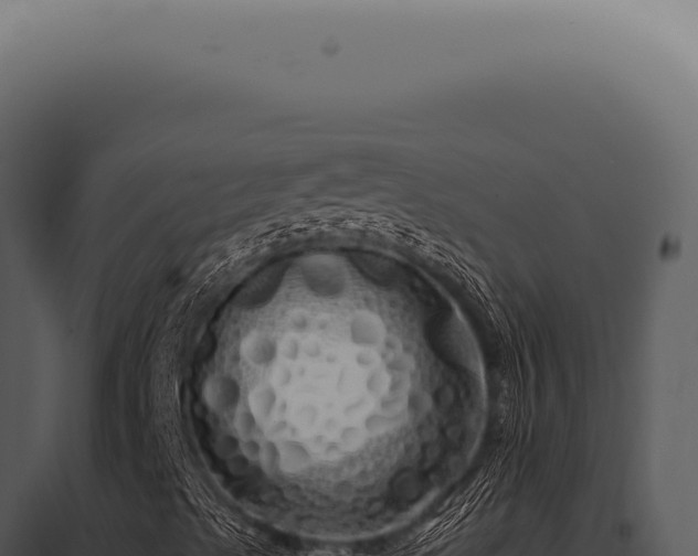 X0000097991489200804011755