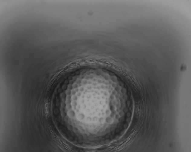 X0000097991490200804011755