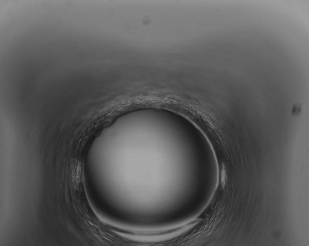 X0000097991492200804011755