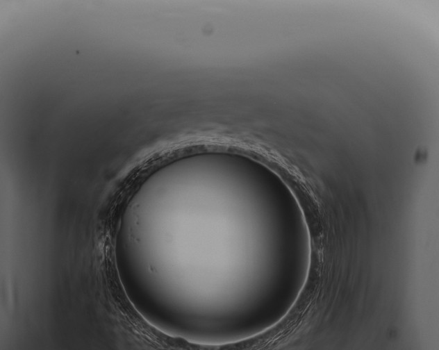 X0000097991495200804011756