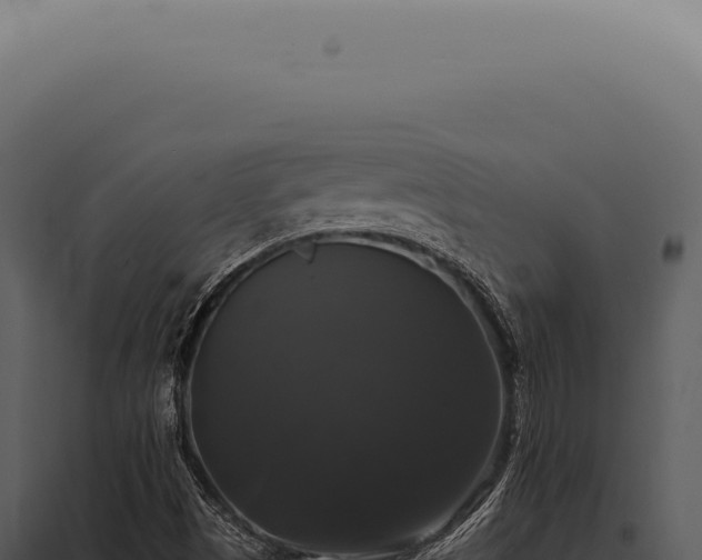 X0000097991497200804011756