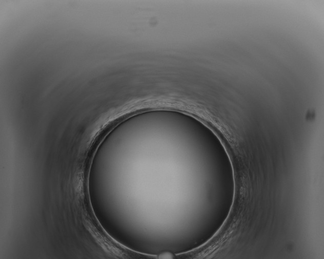 X0000097991499200804011756