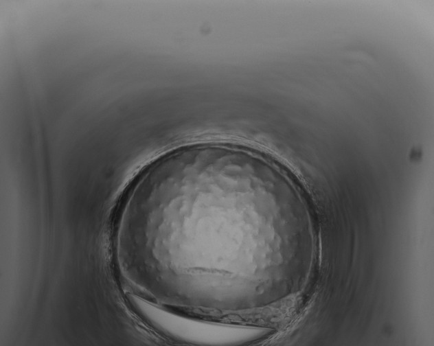 X0000097991501200804011756