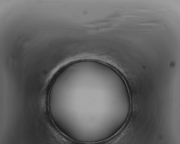 X0000097991502200804011756