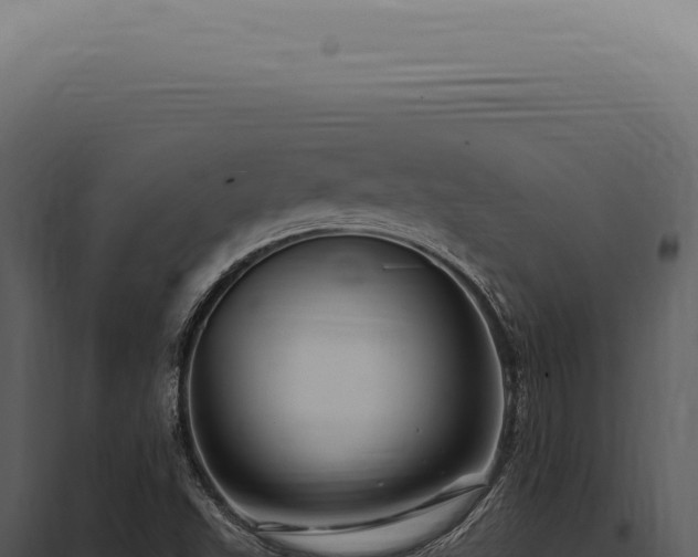 X0000097991503200804011756