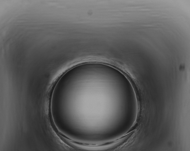 X0000097991504200804011756