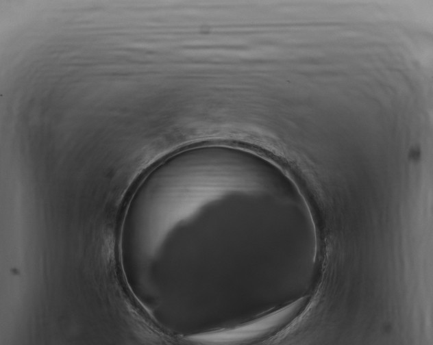X0000097991505200804011756