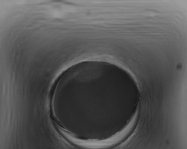 X0000097991506200804011756