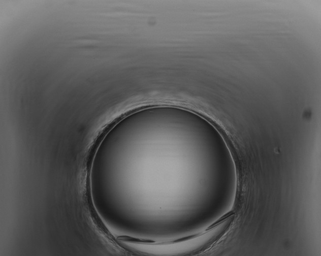 X0000097991507200804011756