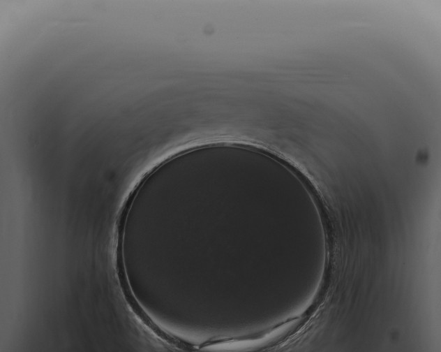 X0000097991508200804011756