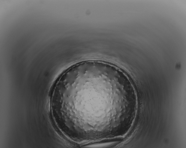 X0000097991509200804011756