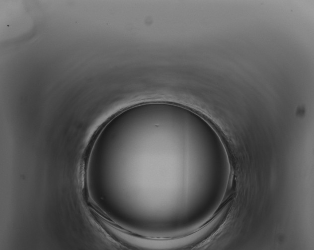 X0000097991510200804011756