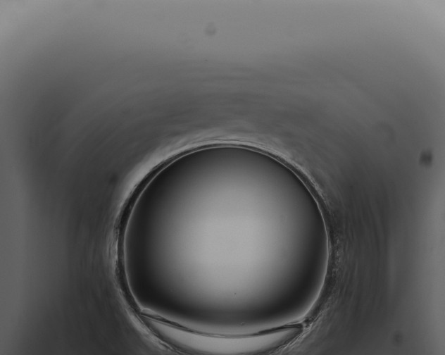 X0000097991511200804011756