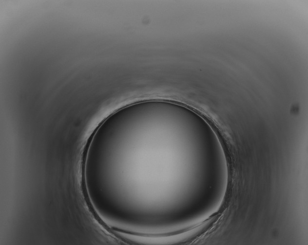 X0000097991512200804011756