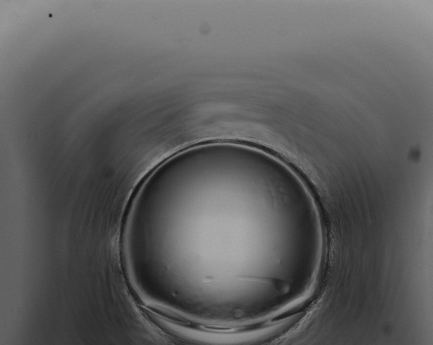 X0000097991513200804011756