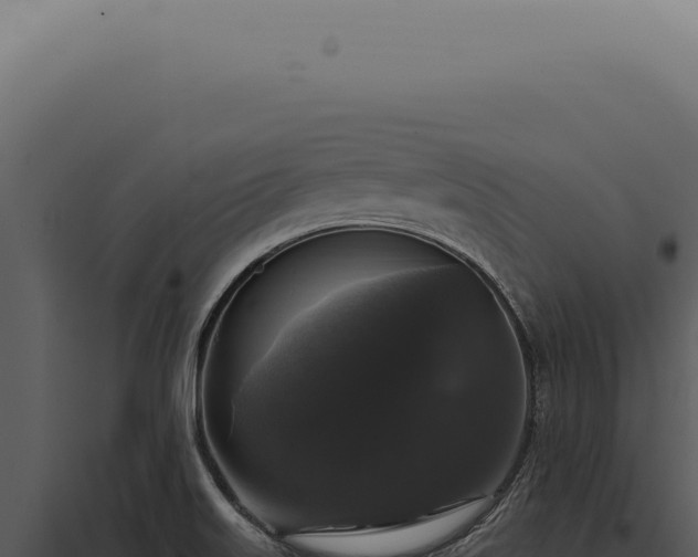 X0000097991515200804011756