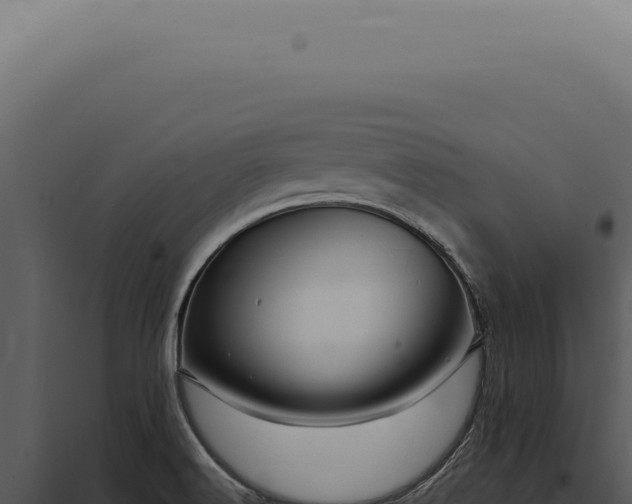 X0000097991516200804011756