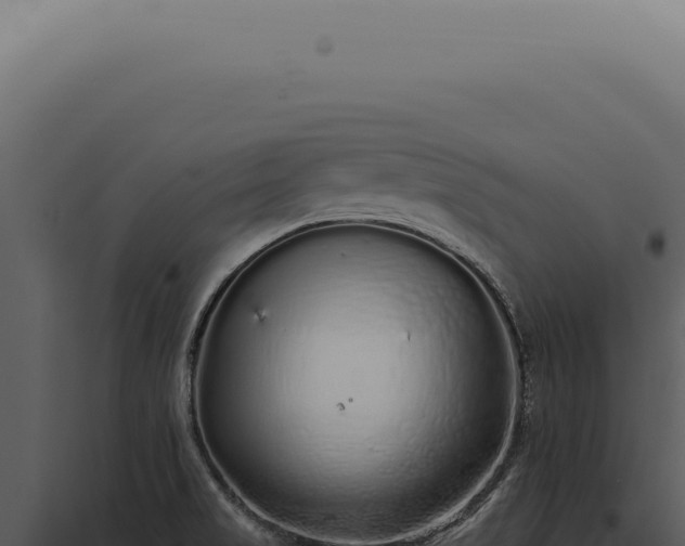 X0000097991517200804011756