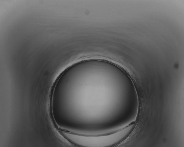 X0000097991518200804011756