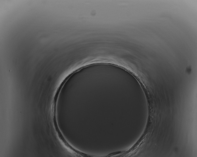 X0000097991519200804011756