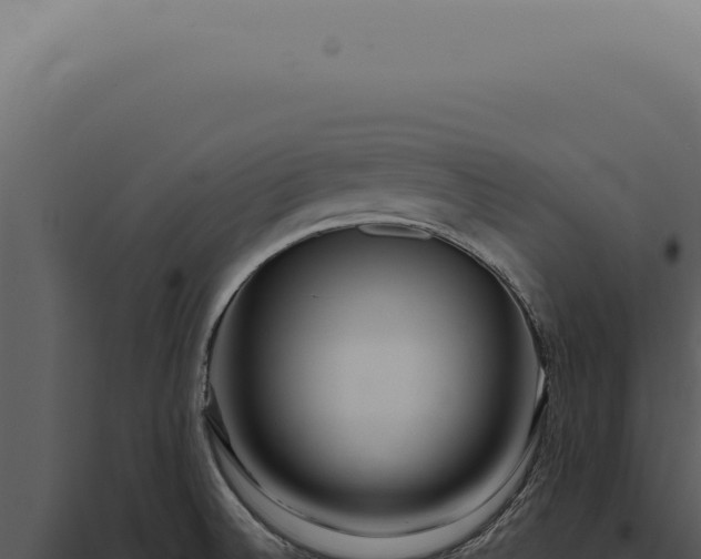 X0000097991524200804011756