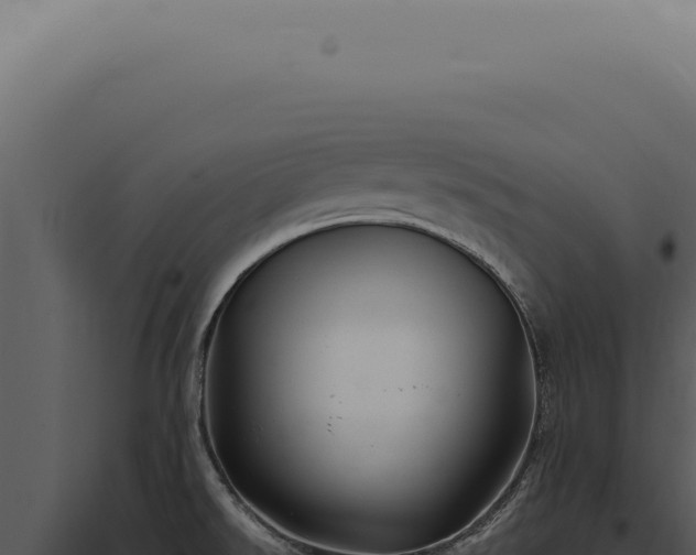 X0000097991526200804011756
