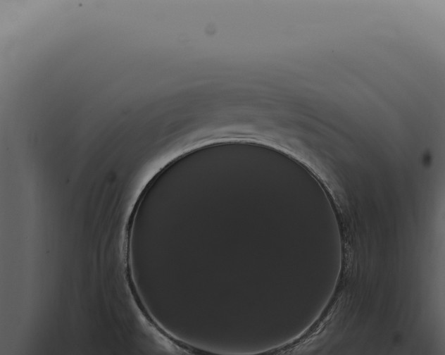X0000097991527200804011756
