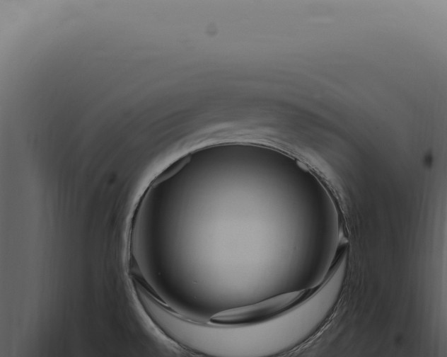 X0000097991528200804011756