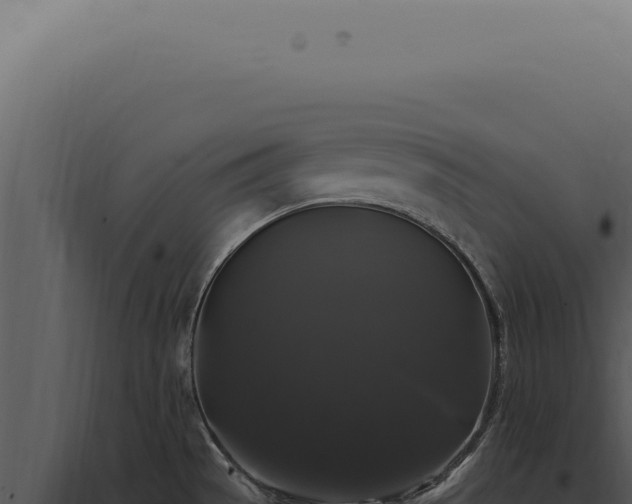 X0000097991529200804011756