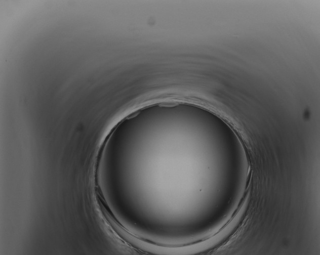 X0000097991530200804011756