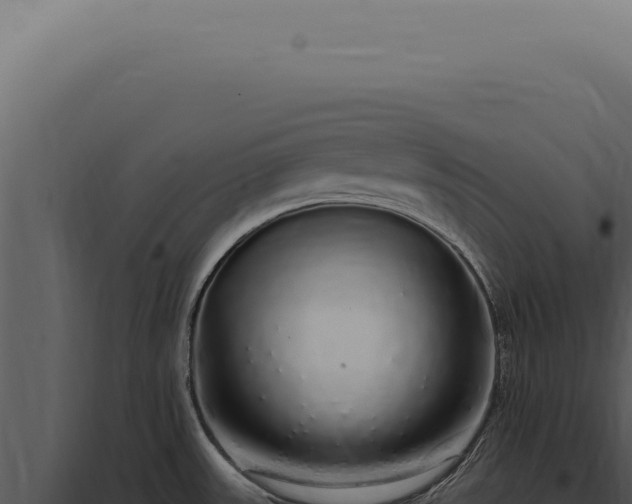 X0000097991531200804011756