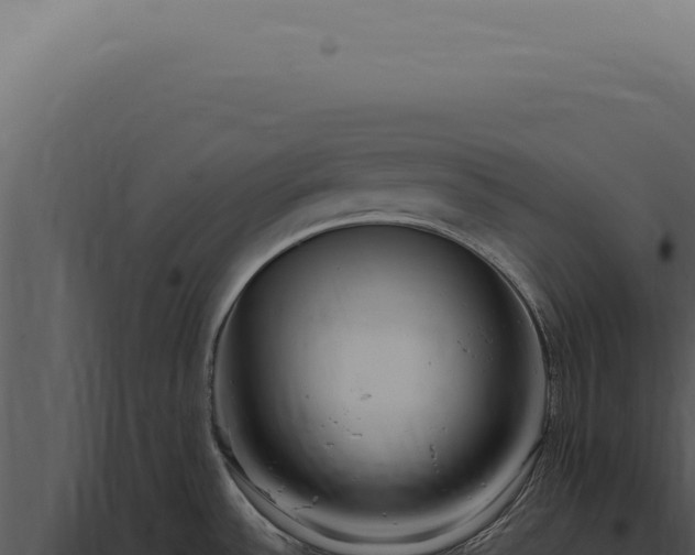 X0000097991532200804011756