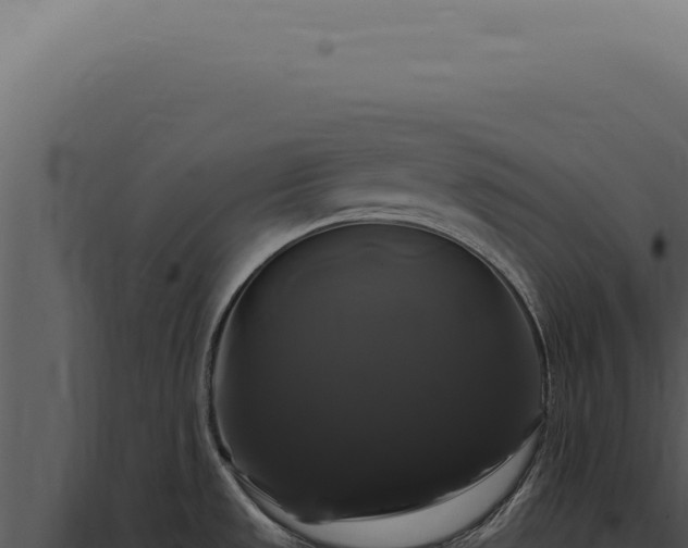 X0000097991533200804011756