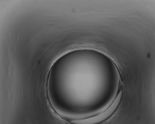 X0000097991534200804011756