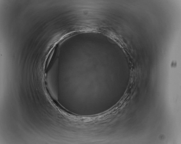 X0000097990002200804021019