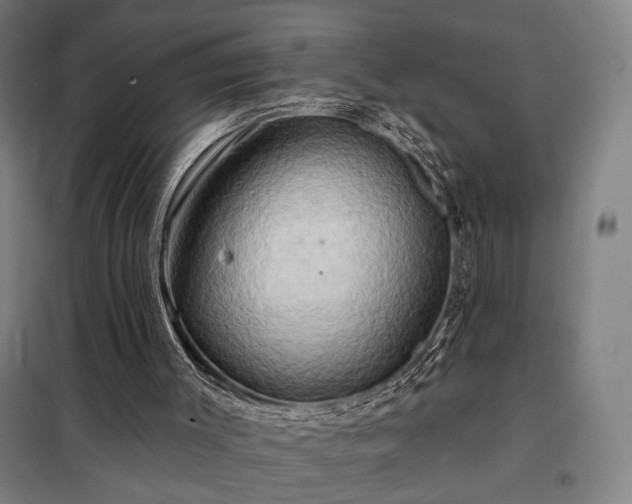X0000097990003200804021019