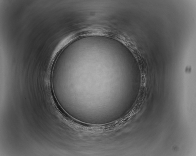 X0000097990004200804021019