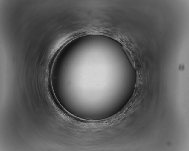 X0000097990005200804021019