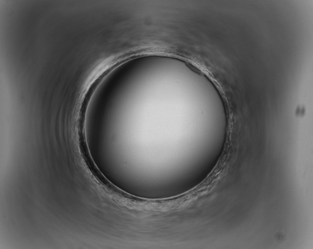 X0000097990007200804021019
