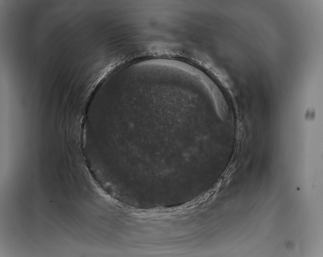 X0000097990009200804021019